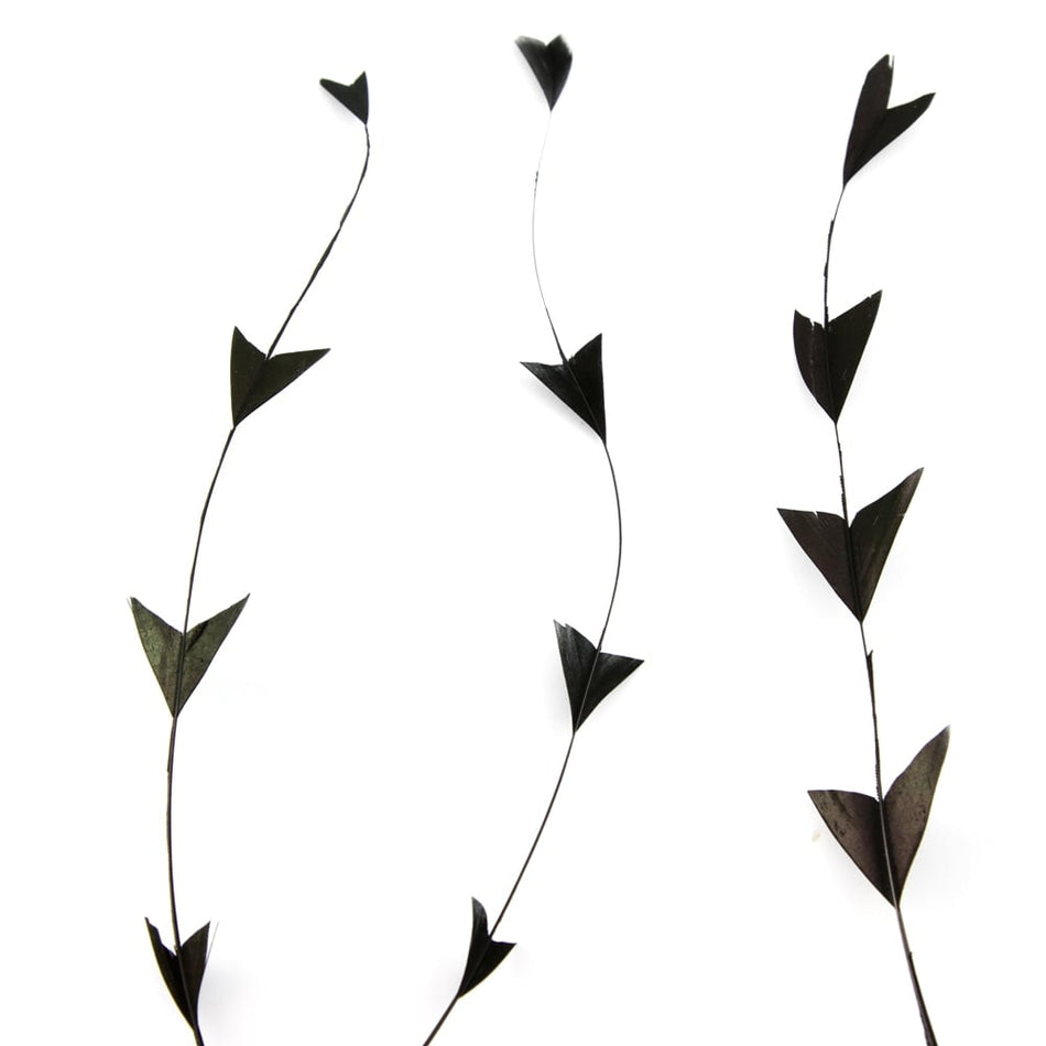 Stripped Coque Feather Bunch - Fish Tail