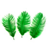 Ostrich Feather Plume 15-20cm (3 Pack)
