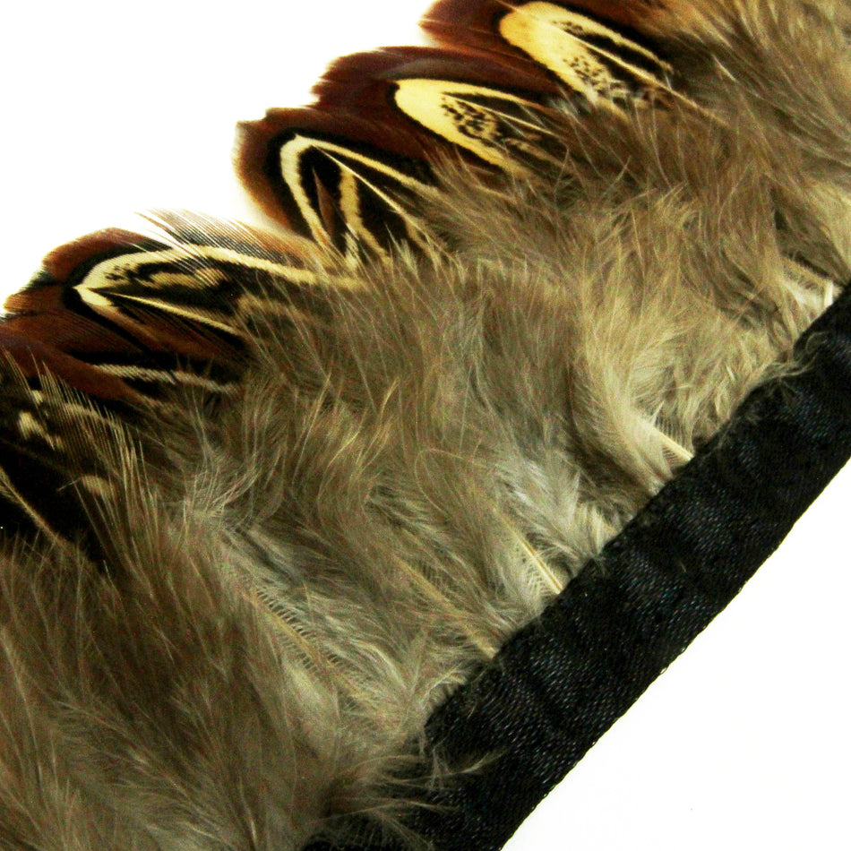 Pheasant Feather Fringe - Ringneck Plumage