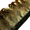 Pheasant Feather Fringe - Ringneck Plumage