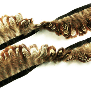 Pheasant Feather Fringe - Ringneck Plumage