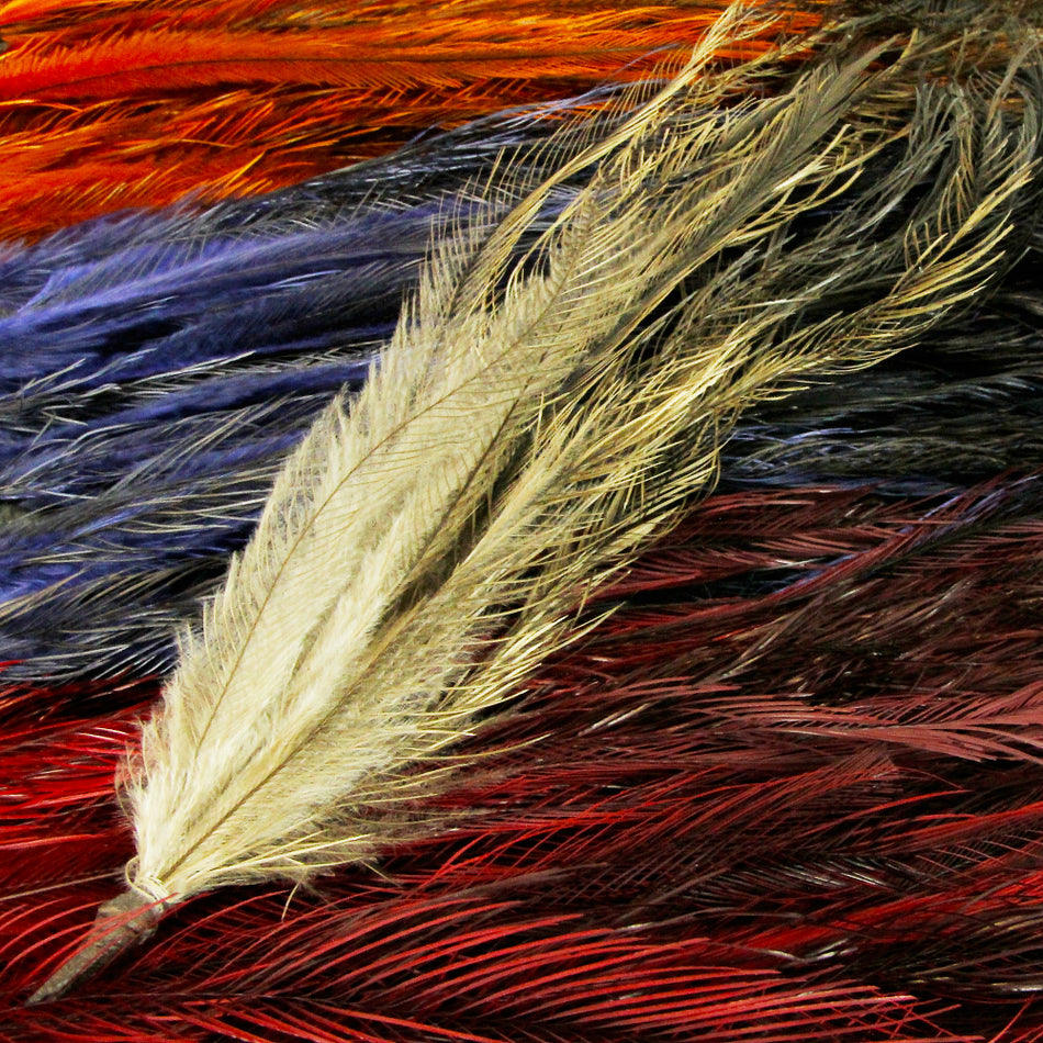 Emu Tail Feather Bunch
