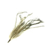 Emu Tail Feather Bunch