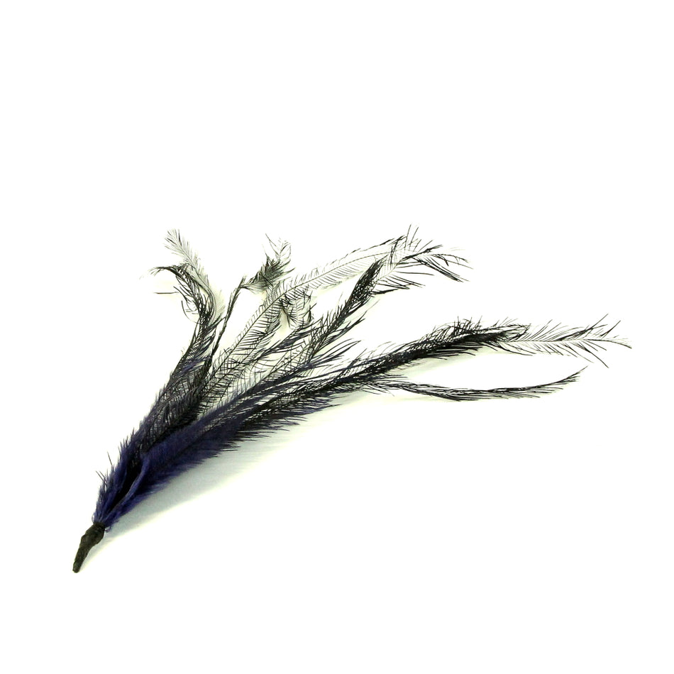Emu Tail Feather Bunch