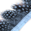 Guinea Fowl Feather Fringe