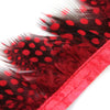 Guinea Fowl Feather Fringe