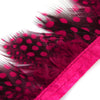 Guinea Fowl Feather Fringe
