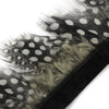 Guinea Fowl Feather Fringe