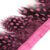 Guinea Fowl Feather Fringe