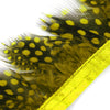 Guinea Fowl Feather Fringe