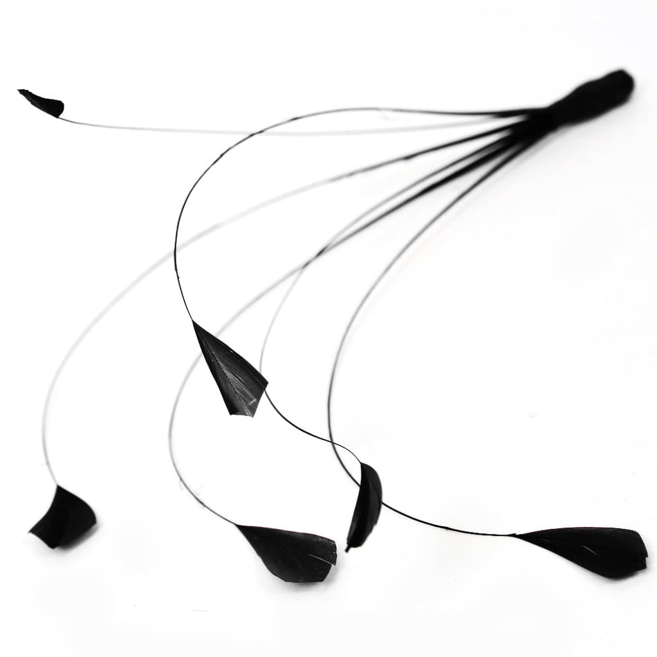 Stripped Coque Feather Bunch - Dots
