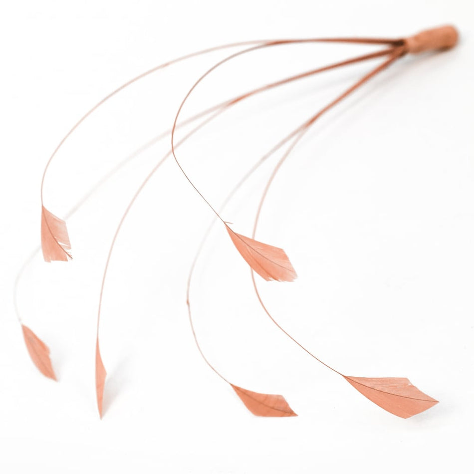 Stripped Coque Feather Bunch - Dots