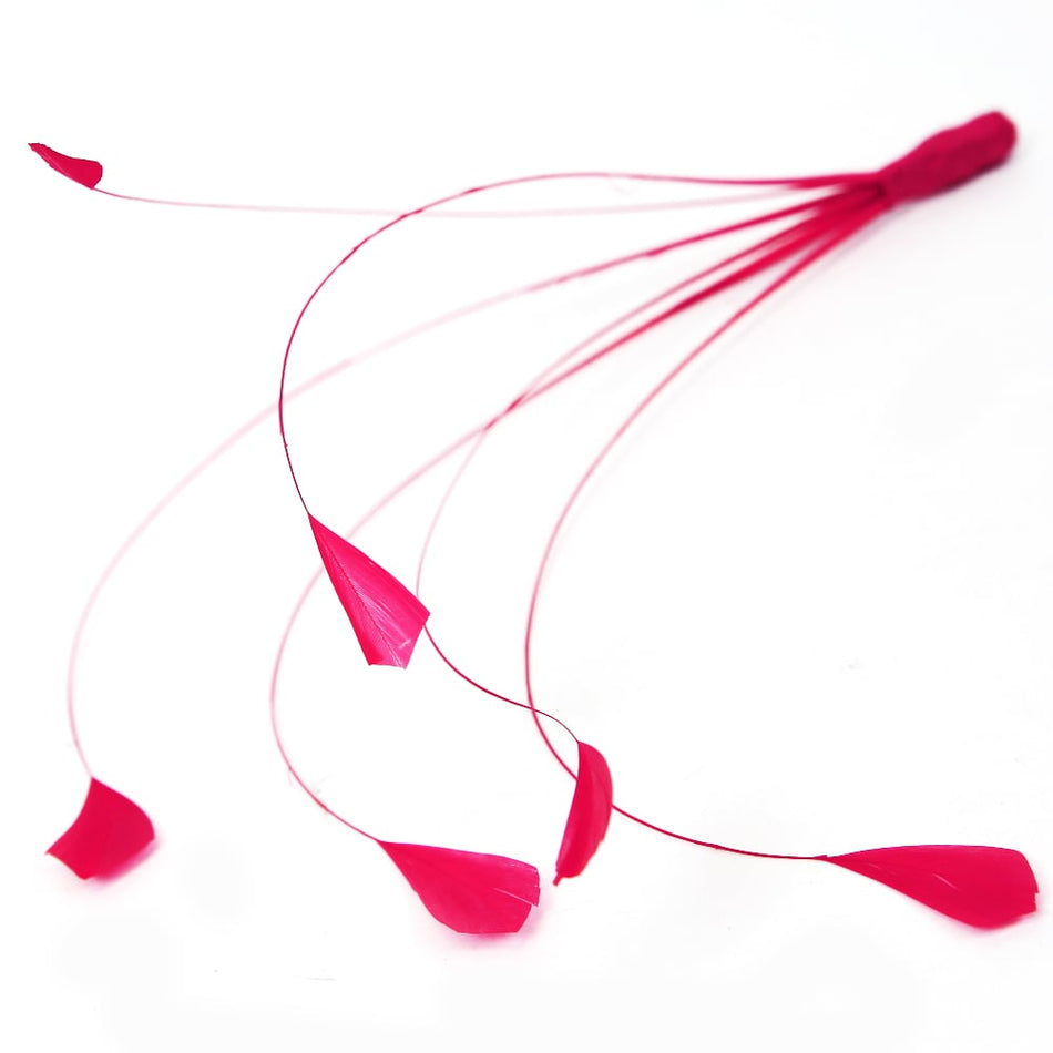 Stripped Coque Feather Bunch - Dots