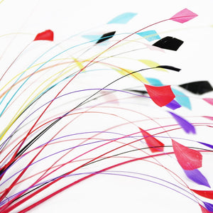 Stripped Coque Feather Bunch - Dots