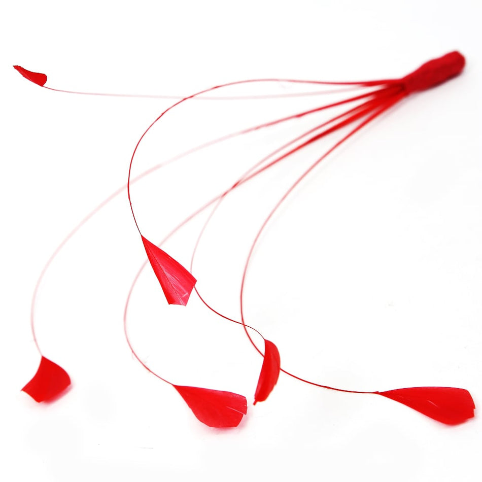 Stripped Coque Feather Bunch - Dots