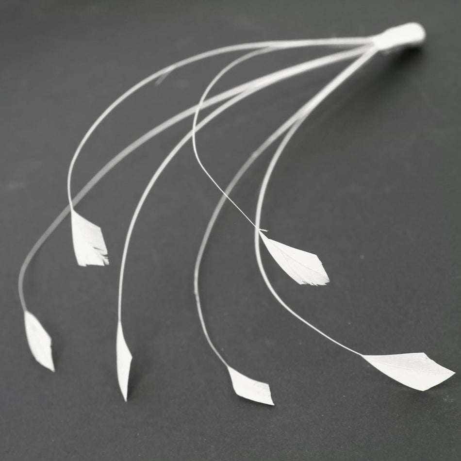 Stripped Coque Feather Bunch - Dots