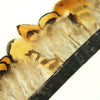 Venery Reeve Feather Fringe
