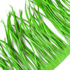 Feather Spiky Biot on Fringe