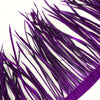 Feather Spiky Biot on Fringe