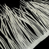 Feather Spiky Biot on Fringe