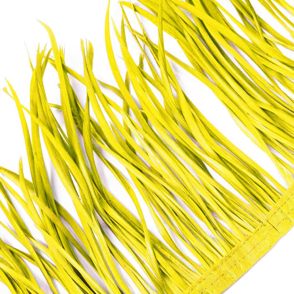 Feather Spiky Biot on Fringe