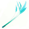 Stripped Coque Feather Bunch