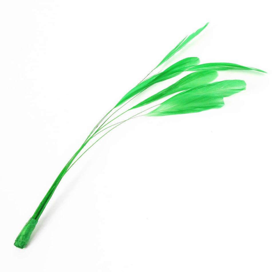 Stripped Coque Feather Bunch