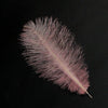 Ostrich Feather Plume 30-40cm