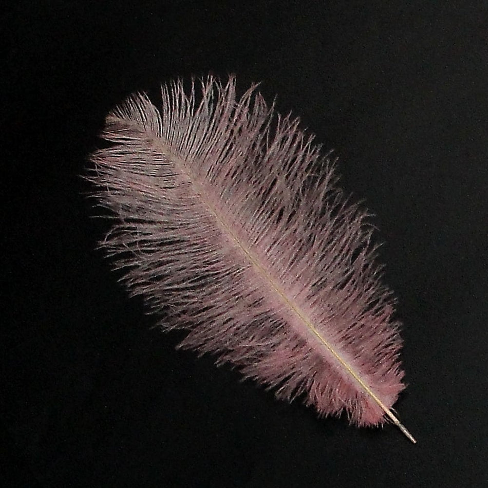 Ostrich Feather Plume 30-40cm