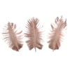 Ostrich Feather Plume 15-20cm (3 Pack)