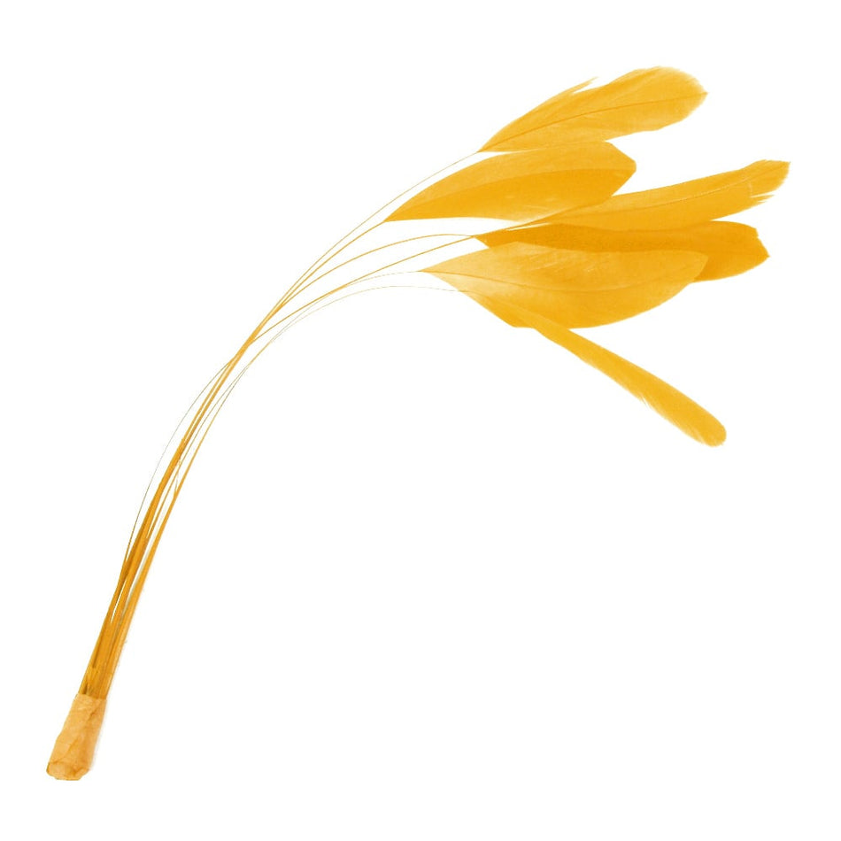 Stripped Coque Feather Bunch