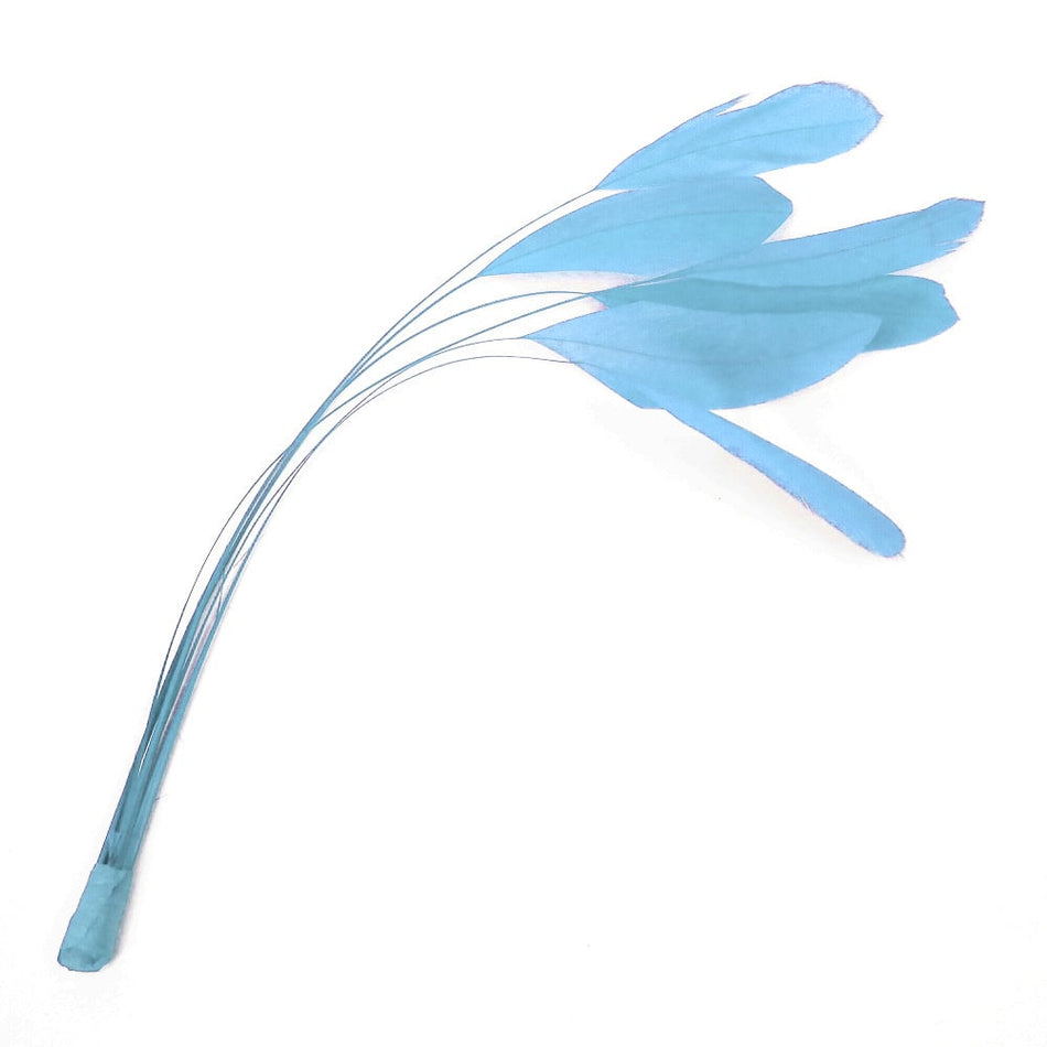 Stripped Coque Feather Bunch