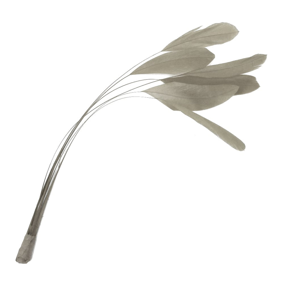 Stripped Coque Feather Bunch