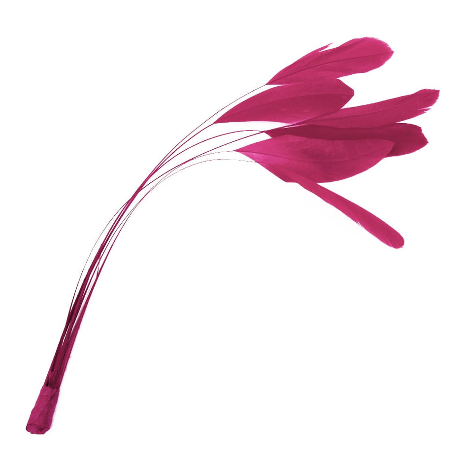 Stripped Coque Feather Bunch
