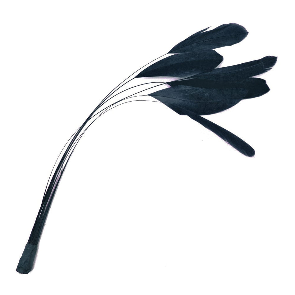 Stripped Coque Feather Bunch