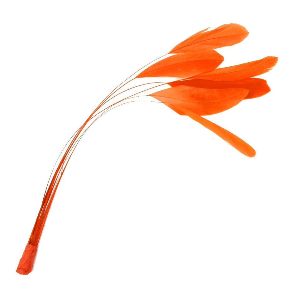 Stripped Coque Feather Bunch