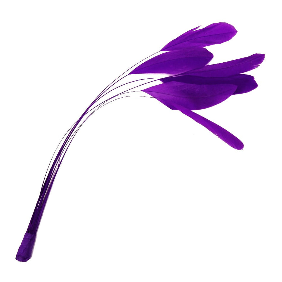 Stripped Coque Feather Bunch