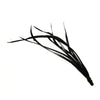 Feather Spiky Biot Bunch