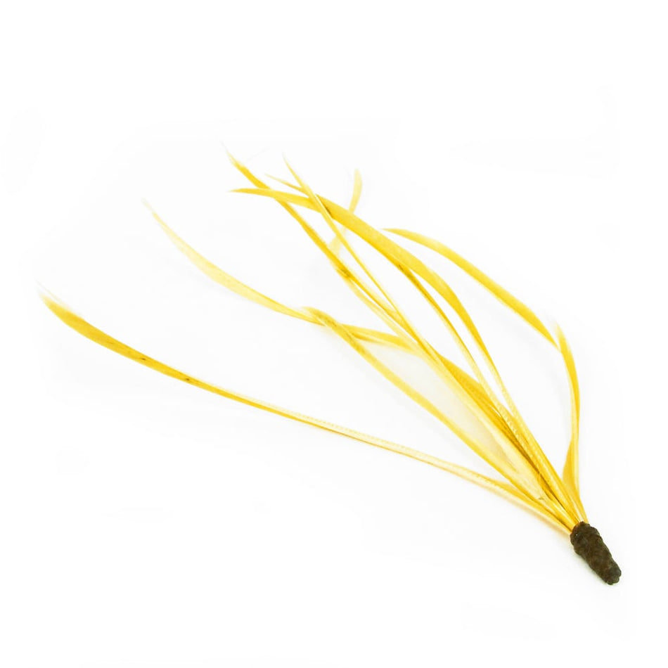 Feather Spiky Biot Bunch