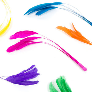 Stripped Coque Feather Bunch