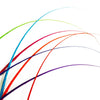 Ostrich Feather Quill Spine