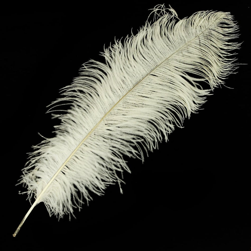 Ostrich Feather Plume 60-70cm