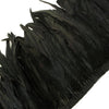 Rooster Coque Tail Feather Fringe
