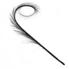 Pheasant Feather Burnt & Curled