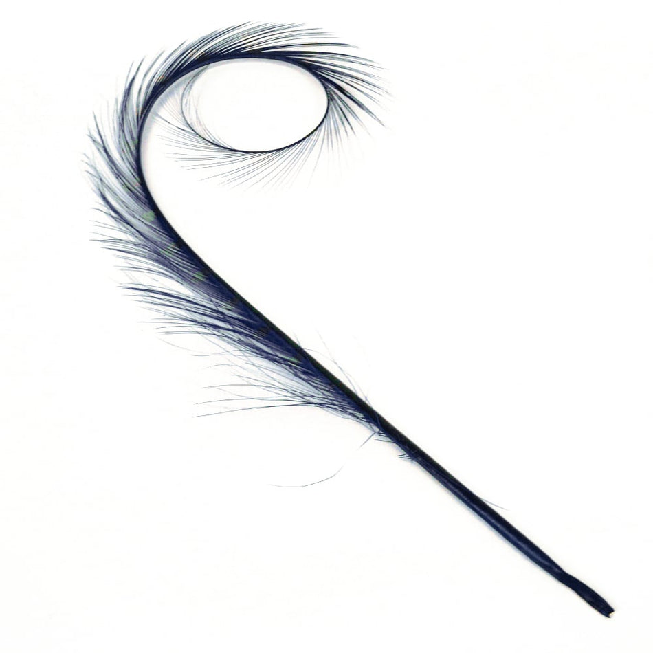 Pheasant Feather Burnt & Curled