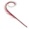 Pheasant Feather Burnt & Curled