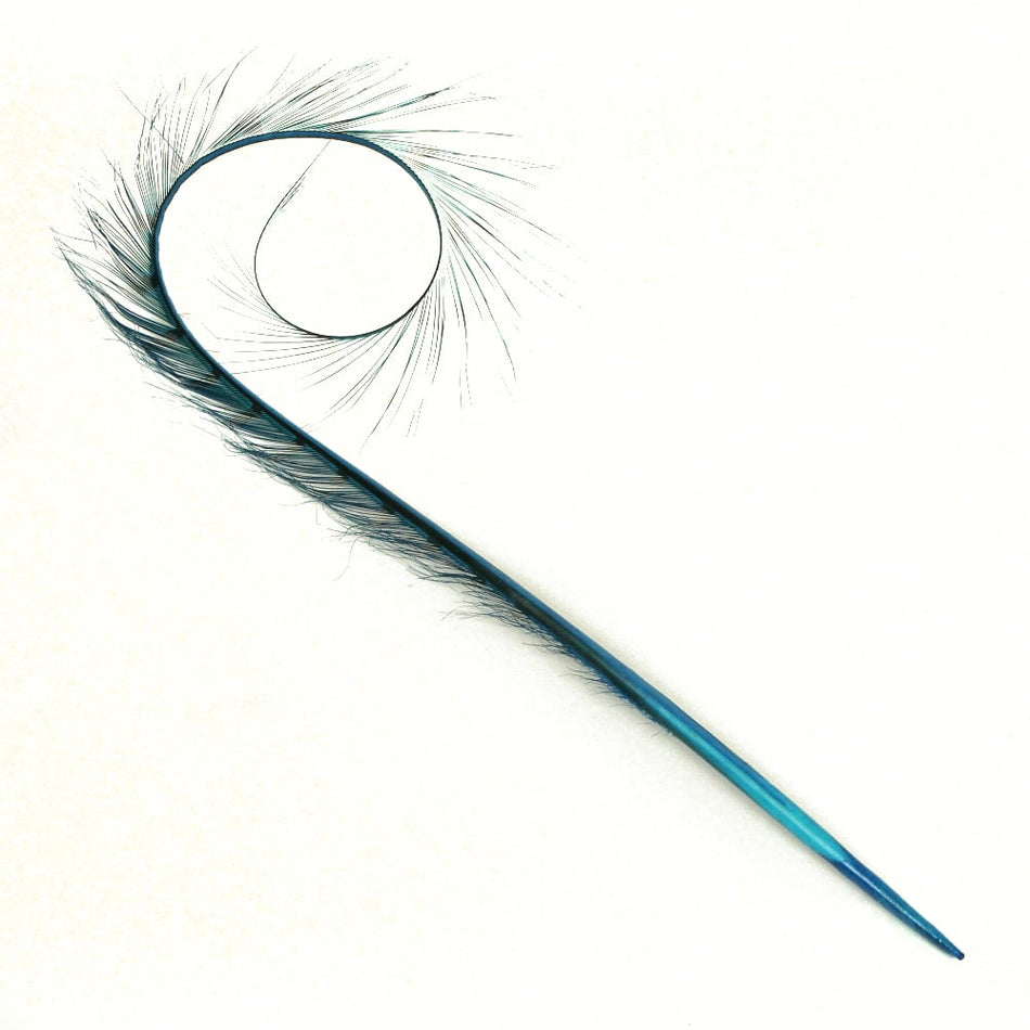 Pheasant Feather Burnt & Curled