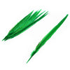 Pheasant Tail Feather (3 Pack)