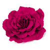 Flower Cabbage Rose XLarge