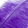 Ostrich Feather Plume 60-70cm
